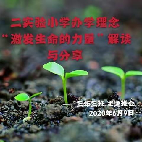 激发生命的力量 舒兰市第二实验小学三年三班——我们和绿苗共成长