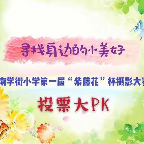 南学街小学第一届“紫藤花杯”摄影大赛高年级组参赛作品投票开始啦！