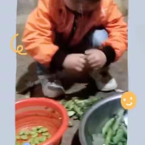 我劳动    我快乐