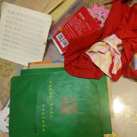 许昌实验小学二（10）中队温馨百合之整理书包🎒