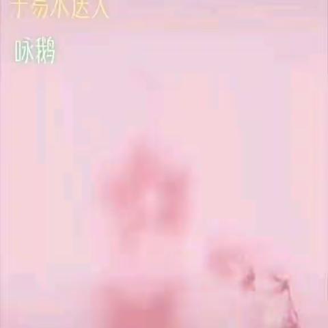宝剑锋从磨砺出，梅花香自苦寒来――许昌实验小学一8班杨凯琳生活点滴