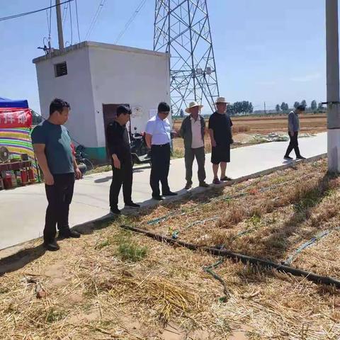 县委常委、组织部长李兰涛同志到双庙乡调研三夏生产与秸秆禁烧工作