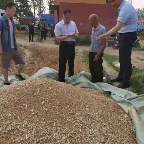 县长范耀江同志到双庙乡调研三夏生产及秸秆禁烧工作