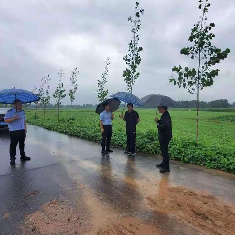 防汛一线扛责任，风雨之中显担当---双庙乡防汛工作纪实