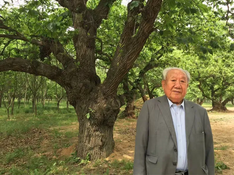 2016年5月7日"陈耀文"研究小组一行来到确山石滚河乡陈冲村一带考察