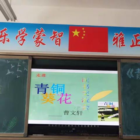 共读《青铜葵花》感悟至善至美