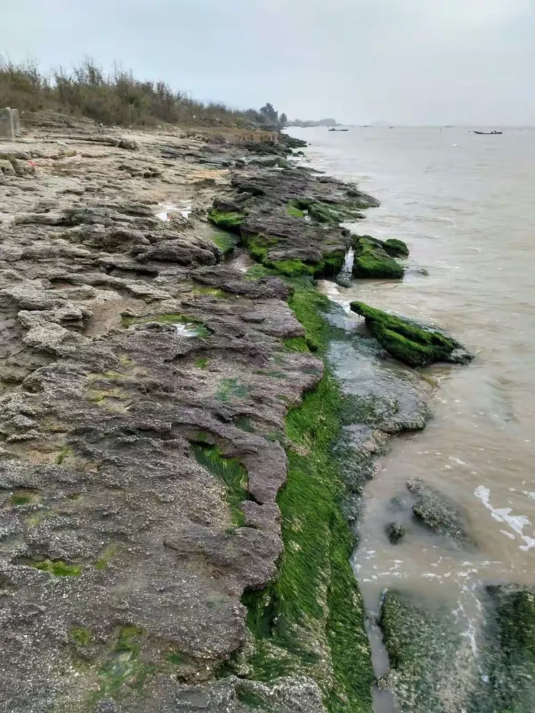 辟龙(海底长城)一一广东省饶平县海山镇(良友建平2017年1月29日16点)