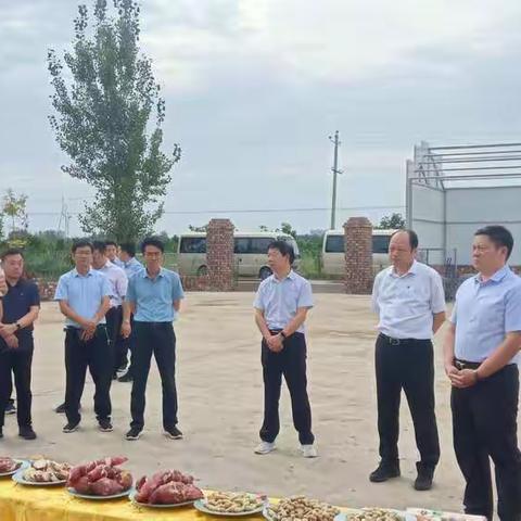 宝丰县2020年第三季度观摩团莅临肖旗乡观摩指导工作