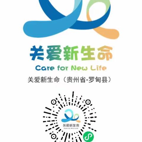 罗甸县“关爱新生命-儿童营养改善”公益项目实施流程