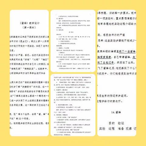 立足校本教研   提升教学能力