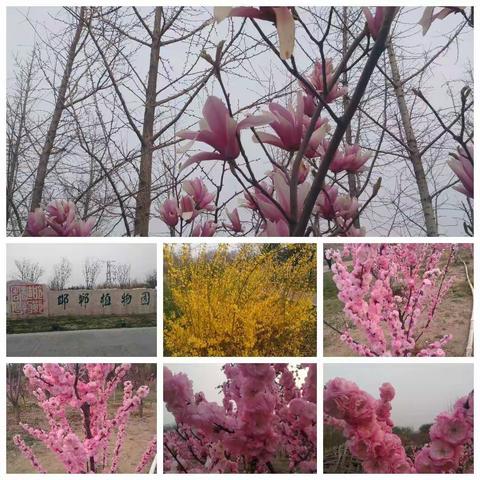 幸福每一天的美篇