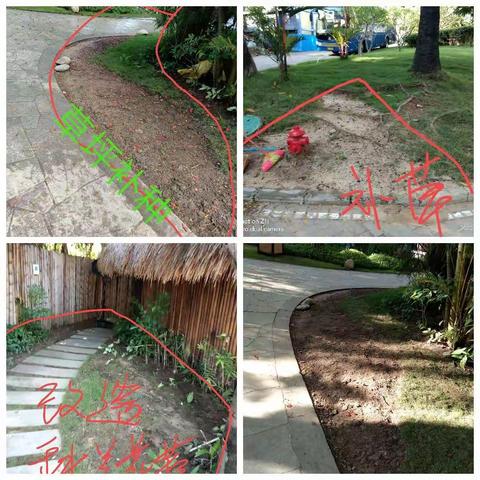致大地园林:园林现需改造与改进事项