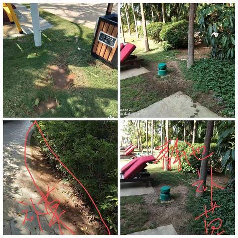 需补种草皮和植物区域