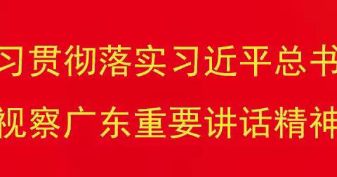 英德市领导莅临商会企业视察指导工作