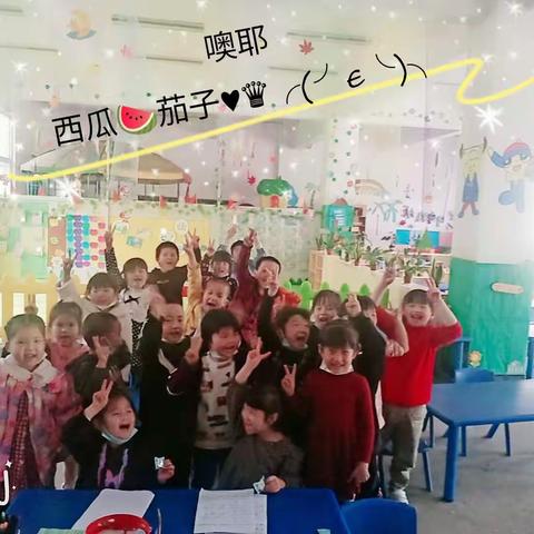 师东希望小学附属幼儿园注册开始啦*^_^*