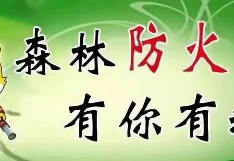 森林防火，有你有我——姚安县月明小学森林防火主题教育