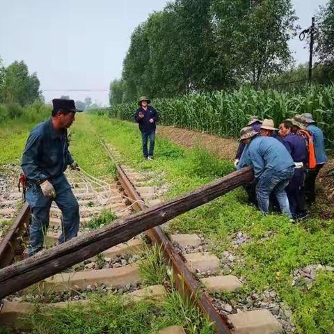 历经风雨六十载  线路大修保畅通