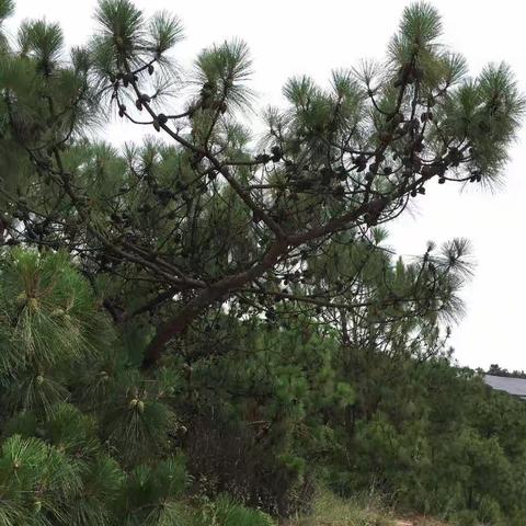 享受山间自由的空气，享受来自大自然的馈赠