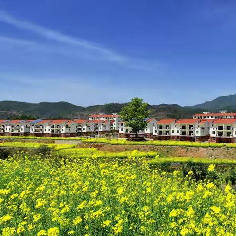 幸福家园——白洋村