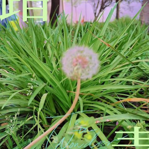 拥抱阳光        润心前行