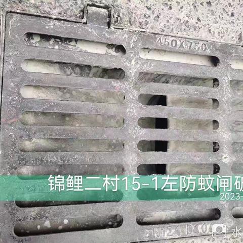 (观湖爱卫办）