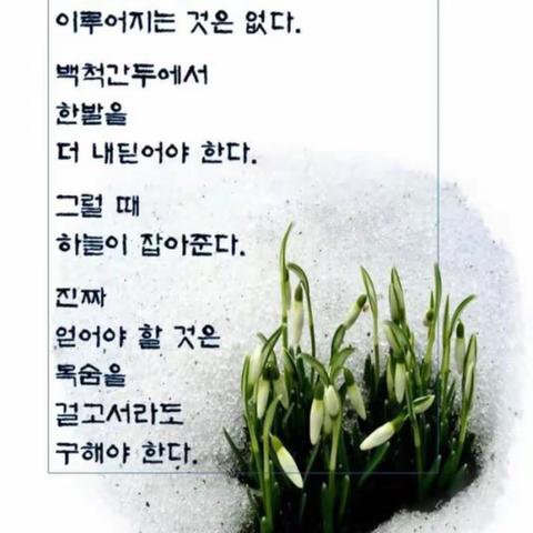 🍇 남을 잘 괴롭히는 사 ㅡ 람