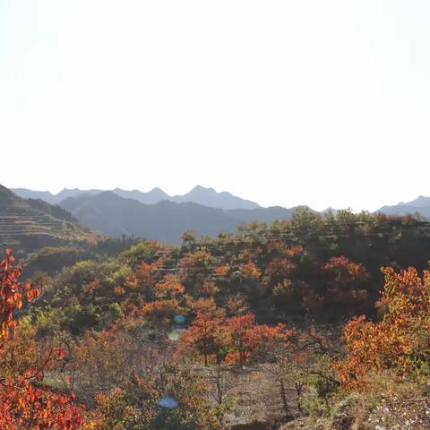 山野秋意浓