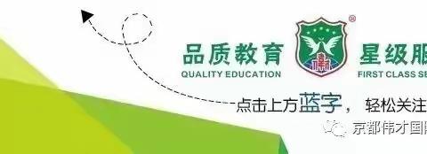 “奇思妙想，探索科学奥秘”——京都伟才幼儿园科学实验活动，让孩子用好奇心触碰未来（中班组）