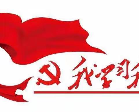 学党史再深入 讲法治促和谐--黄杨梅小学党支部11月主题党日活动