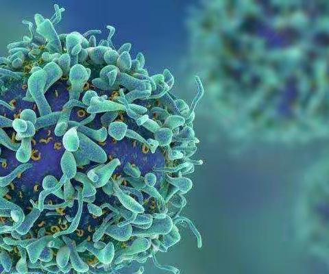 核酸检测怎么做