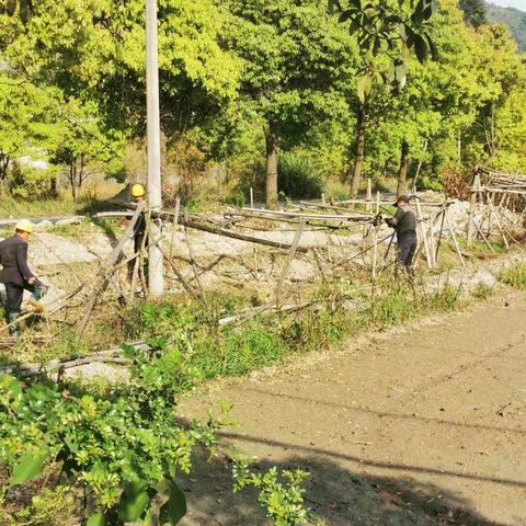 潘岱街道周末不停歇建设美丽田园