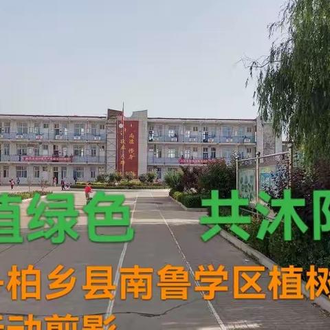 《手植绿色 共沐阳光》