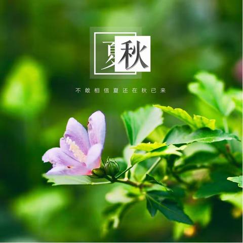 醉美华嬉庄园—初秋