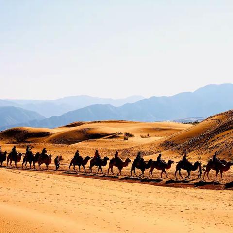 印象宁夏·徒步腾格里沙漠