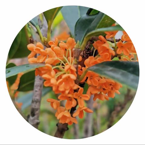 智慧成长“悦读会”第十四课