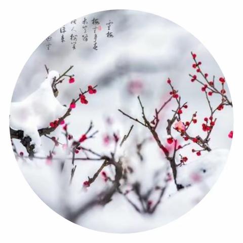 智慧成长“悦读会”第十七课