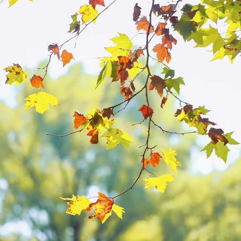 智慧成长悦读会第二十三课