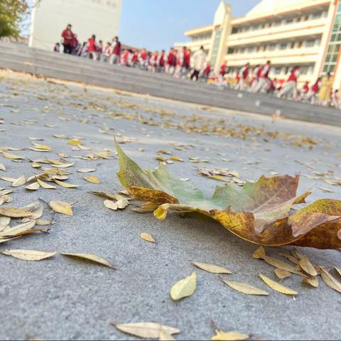 章集中心小学 三四年级队列队形观摩活动