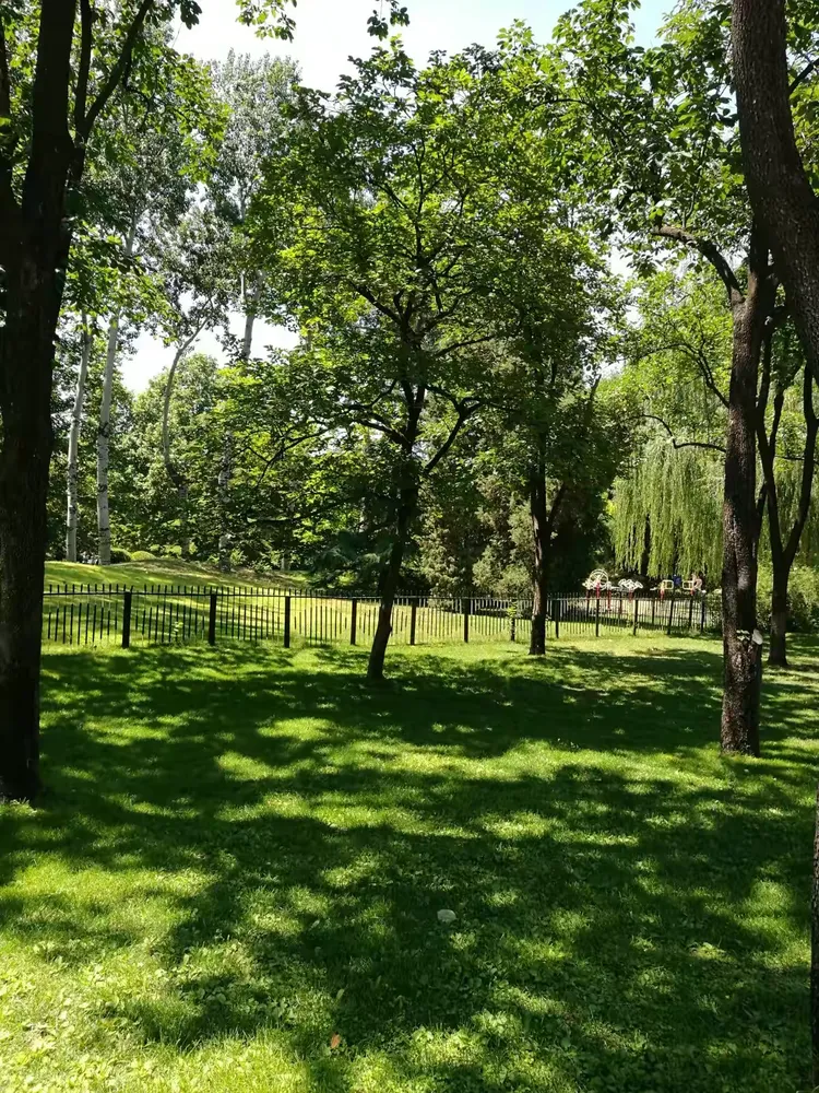 我们在绿荫下散步……