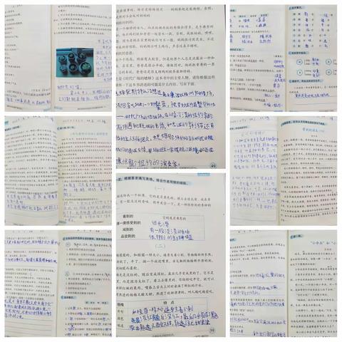 多彩长假日  圆梦新学期