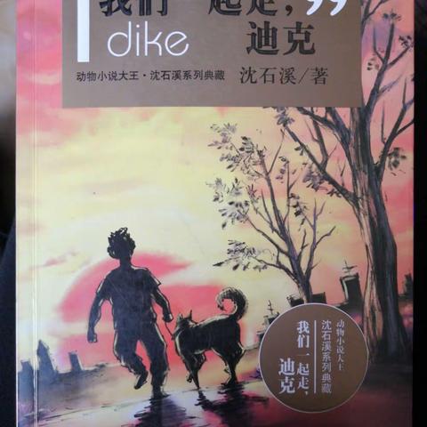 《我们一起走，迪克》读后感