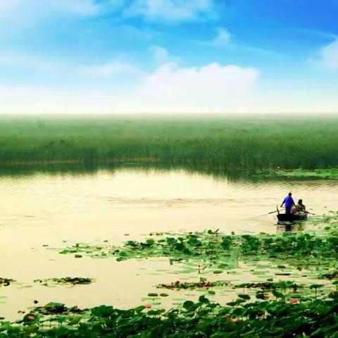 哪张都好看，请您来点赞！