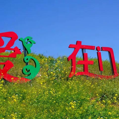 西北大环线游记