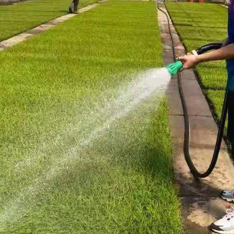 想去你的故乡看看，是怎样的水土出了这么好的你