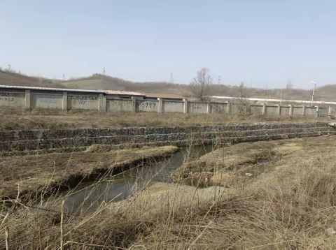 现场踏勘 启动兰山河治理及绿化工程