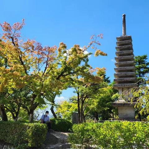 日本顺道游      京 都