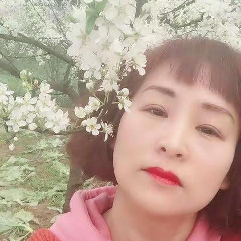 桃花源记