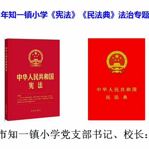 密山市知一镇小学举办2022年《宪法》《民法典》法治专题知识讲座