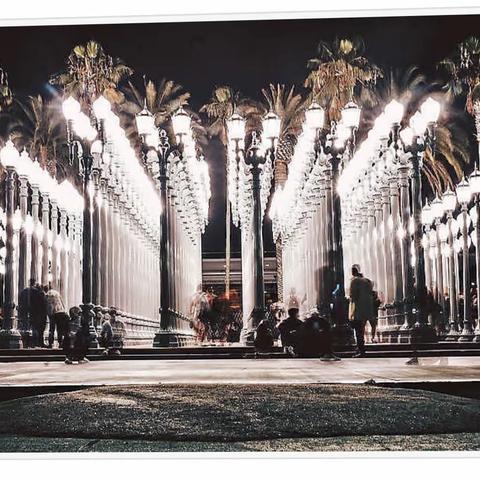 【珈航资讯】洛杉磯這些博物館免費進，The Broad、LA Arboretum均在名單內，文中有預訂鏈接哦~