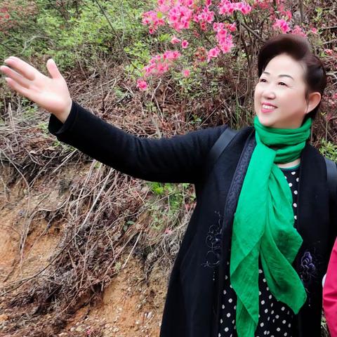 陈亚萍兰花十二咏